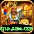 2018 asia cup Pro New
