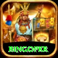 bingopkr Live Casino King