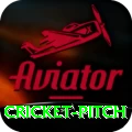 cricket pitch APK Deluxe v2.7.2