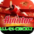fastest ball in cricket Earn Ultimate v3.7.8