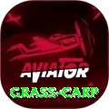 grass carp - Supreme Earning App