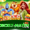 india cricket match Slots King v5.9.5
