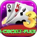 india pakistan cricket Gaming Extreme
