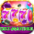 india upcoming cricket matches Jackpot Turbo v5.4.6