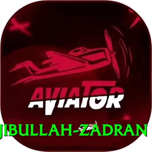 najibullah zadran - Pro Earning App - 2