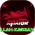 najibullah zadran - Pro Earning App