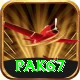 Pak67 VIP v4.3.9