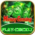 play cricket Legend Gaming App