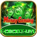 smart cricket live Slot Machine Max