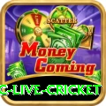 smartcric live cricket PK Gold