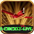 t20 cricket live - Slots Gold