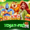 tojay APK Deluxe v4.0.9
