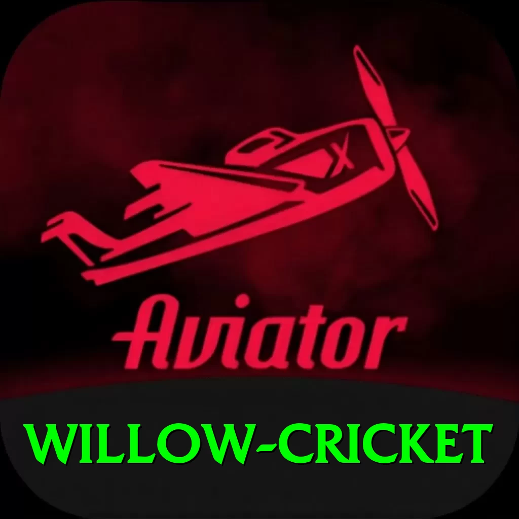 willow cricket Master v2.6.6 - 2