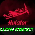 willow cricket Master v2.6.6